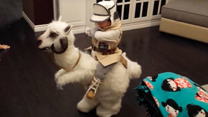 This May Be The Best Homemade Tauntaun Costume in The Galaxy