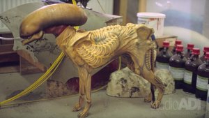 This VFX Featurette For ALIEN 3 Shows a Dog Being Transformed Into a Xenomorph