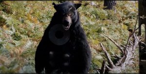 Three New Clips Preview The Wild Upcoming Horror Comedy COCAINE BEAR