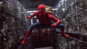 Tom Holland's Spider-Man is Rumored to Appear in VENOM