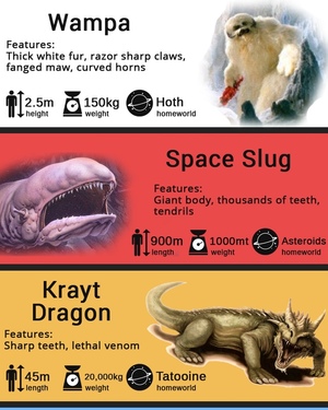 Top 10 Coolest Beasts from the STAR WARS Universe - Infographic