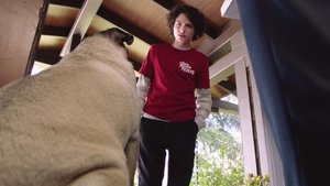 Trailer For Finn Wolfhard and Vanessa Hudgens' Dog Comedy DOG DAYS