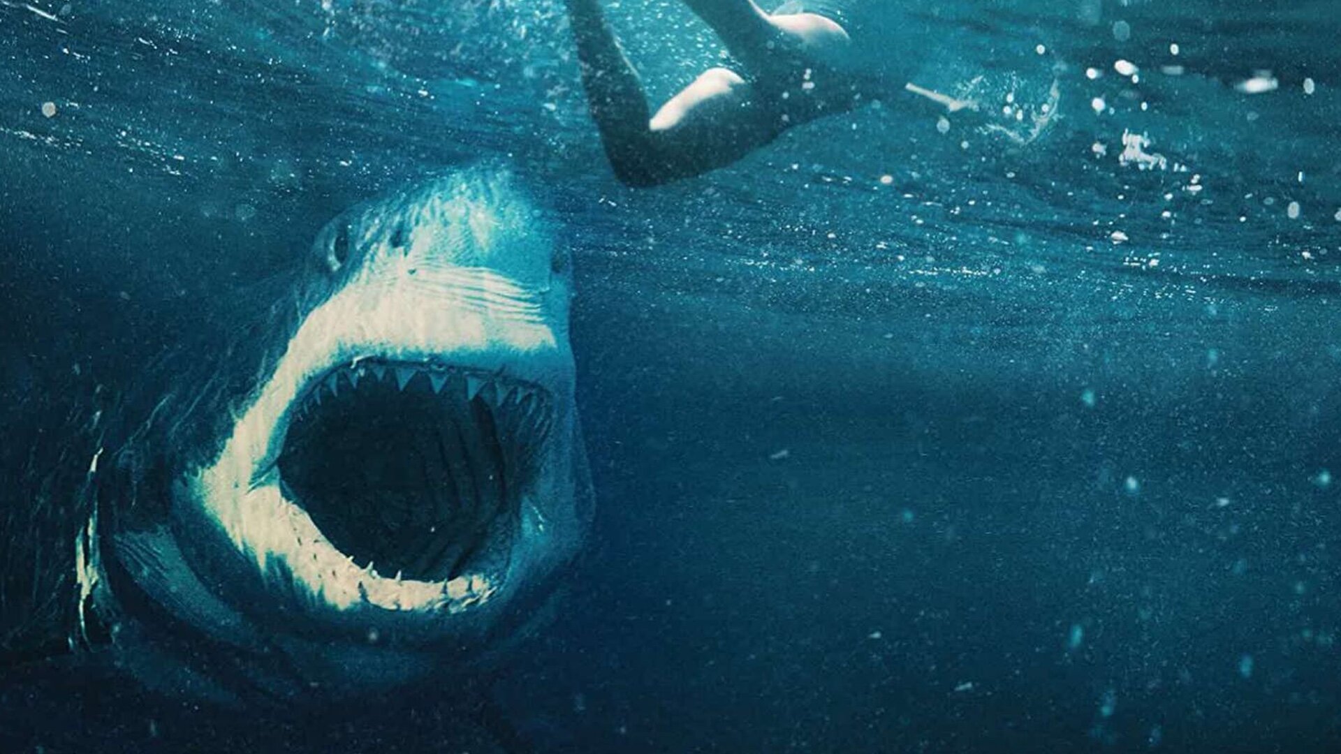 Trailer For The Australian Shark Survival Thriller GREAT WHITE with Katrina...