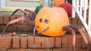 Turn Your Pumpkins Into Creepy Crawly Spiders For Halloween