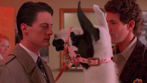 TWIN PEAKS: 7 Things You Probably Didn't Know