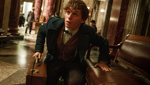 Video: FANTASTIC BEASTS AND WHERE TO FIND THEM — Full Comic-Con Panel