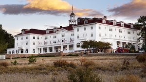 Watch a Bear Take a Stroll Around the Lobby of The Stanley Hotel, which was the Inspiration for THE SHINING