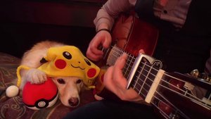 Watch An Amazing Guitar Player And His Dog Play The POKEMON Theme