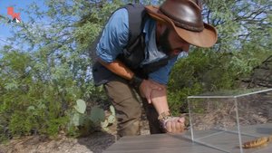 Watch Coyote Peterson, The Internet's Steve Irwin, Get The Worst Bite From An Insect In The World