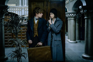 Watch FANTASTIC BEASTS Easter Eggs and Connections to Harry Potter