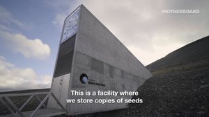 Watch: Take a Tour of The World's Global Seed Vault