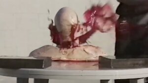 Watch the Blood and Decapitation Effects Test for INTERVIEW WITH THE VAMPIRE From Stan Winston Studios