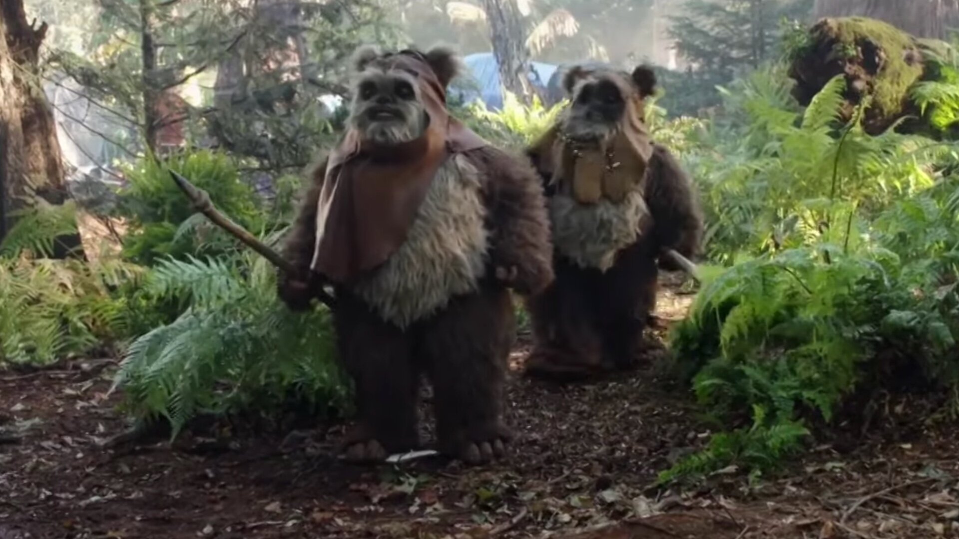 Watch Warwick Davis and His Son Suit Up as Ewoks in Behind-the-Scenes Video...