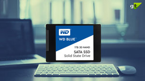 WD 1TB SSD Review: The Results Were Surprising