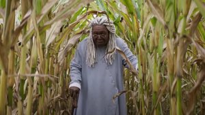 Whoopi Goldberg Will Play Bird Woman in Neil Gaiman’s Series Adaptation of ANANSI BOYS