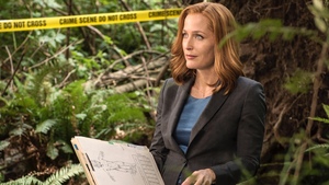 X-FILES Star Gillian Anderson Joins Neil Gaiman's AMERICAN GODS on Starz